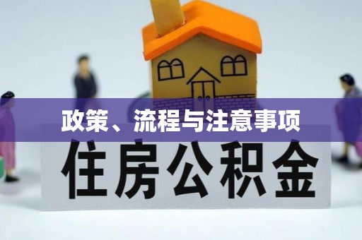子长政策、流程与注意事项