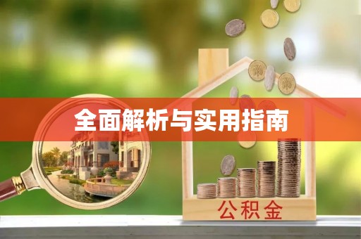 子长全面解析与实用指南