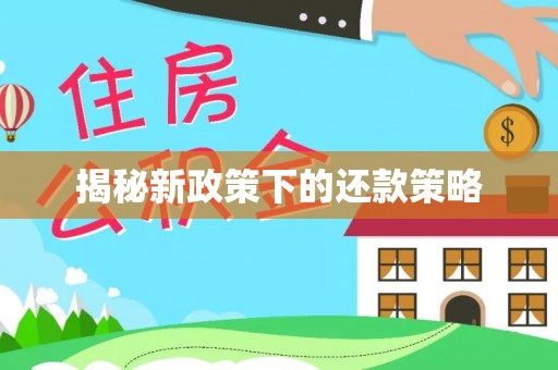 子长揭秘新政策下的还款策略
