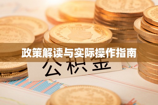 子长政策解读与实际操作指南