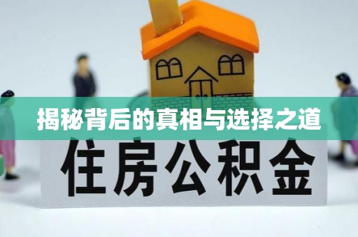 子长揭秘背后的真相与选择之道
