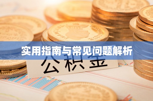 子长实用指南与常见问题解析