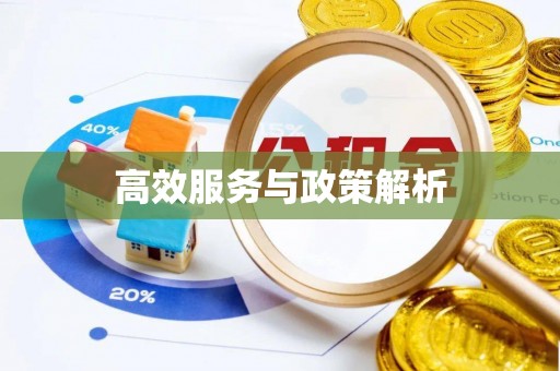 子长高效服务与政策解析