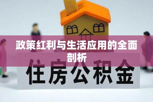 子长政策红利与生活应用的全面剖析