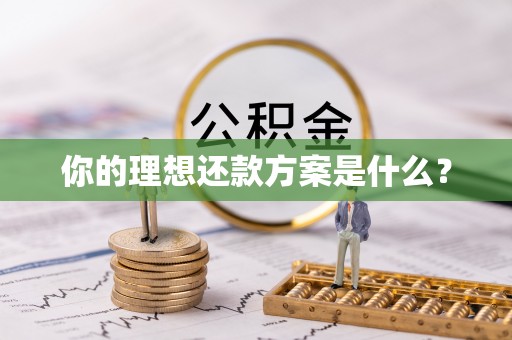 子长你的理想还款方案是什么？