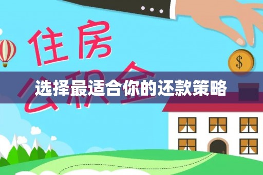 子长选择最适合你的还款策略