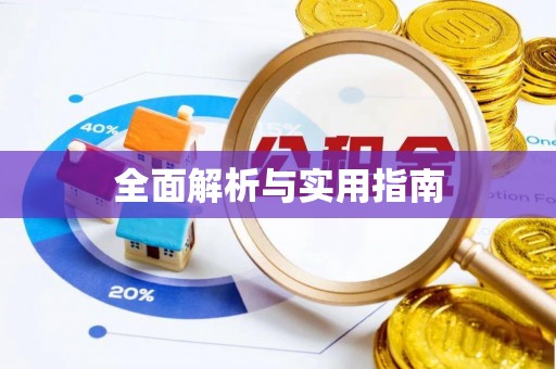 子长全面解析与实用指南