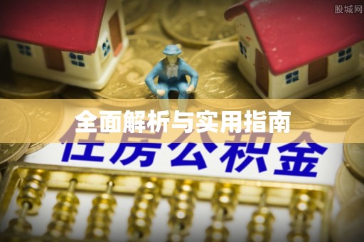 子长全面解析与实用指南